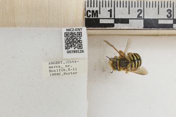 Media type: image;   Entomology 789126 Aspect: Labels